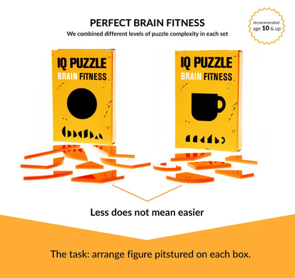 SET of 3  IQ Puzzle Brain Fitness Games Brain Teaser Puzzles for Adults and Kid Puzzle Mind Puzzles Brain Games